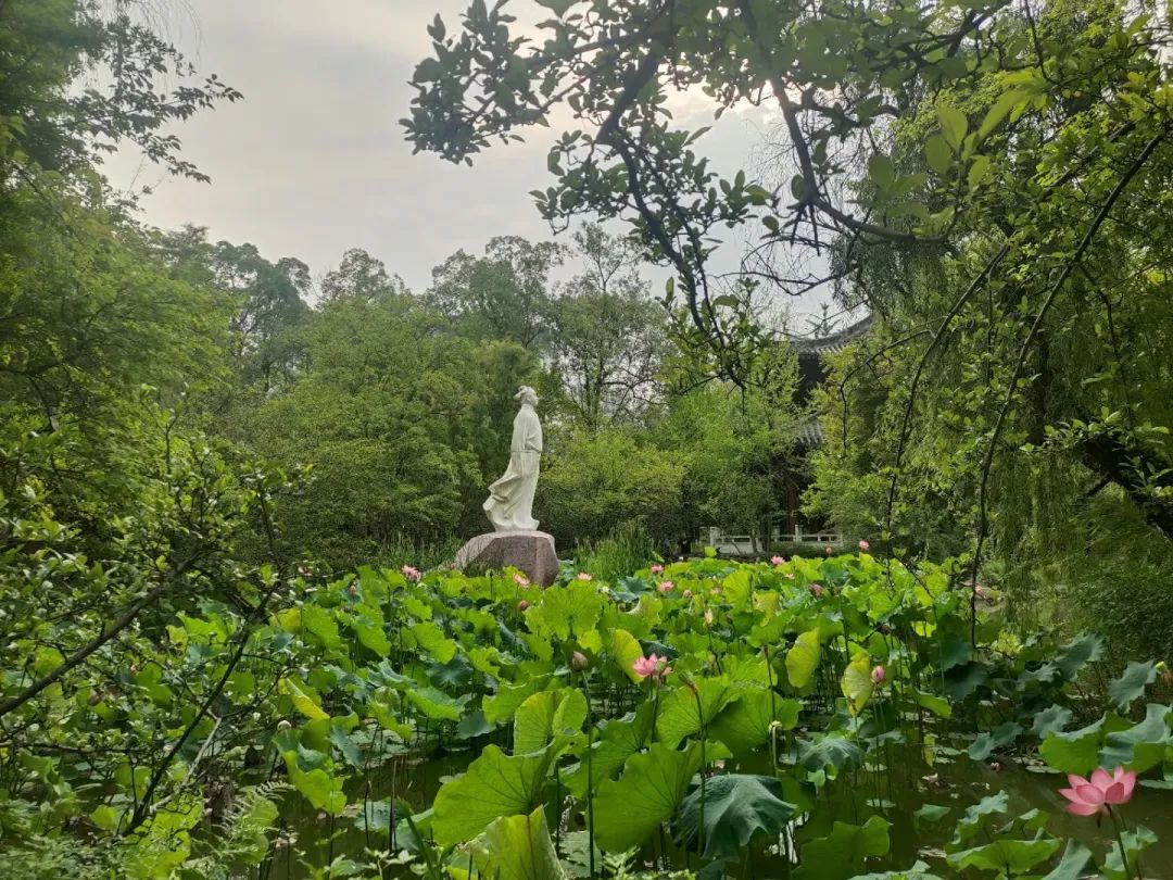 從李白故里出發(fā)，乘長風(fēng)、赴萬里！